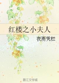 红楼小夫人有空间