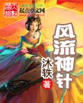 混沌风流神在异世