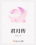 君月传百度百科