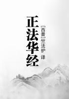 正法华经无极大安
