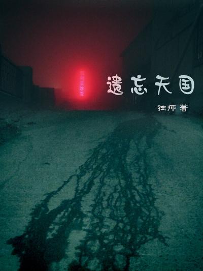 遗忘天数