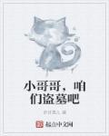 盗墓笔记之小哥是我哥