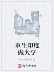 重生印度做大亨 书评