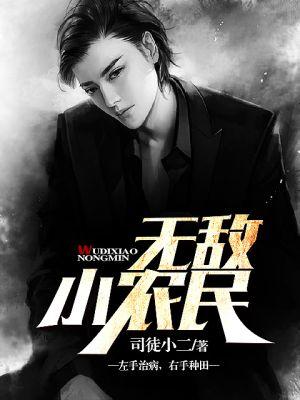 无敌小农民txt免费