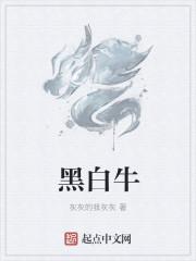 黑白牛角指什么生肖
