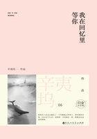 我在回忆里等你王楚然
