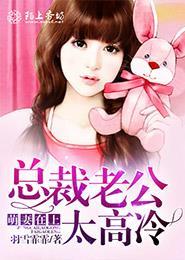 总裁老公太宠妻