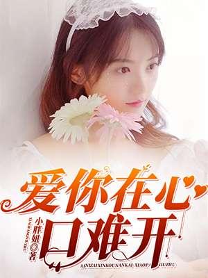 爱你在心口难开歌词张蔷