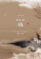 曾许诺·殇简介