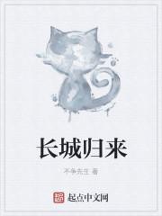 长城续集