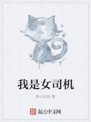 我是女司机中的佼佼者是什么