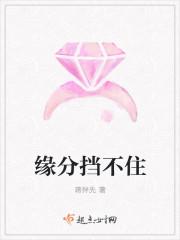 缘分在哪里