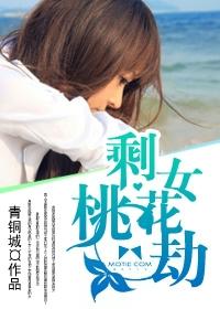 剩女桃花劫为什么听不了