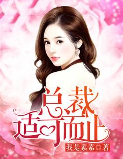 总裁大人适而可止