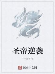 圣帝叶晨