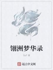 梦华录1-40全集在线观看