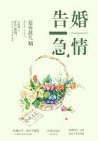 婚情告急顾西爵txt
