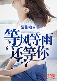 等风等雨等你来歌曲