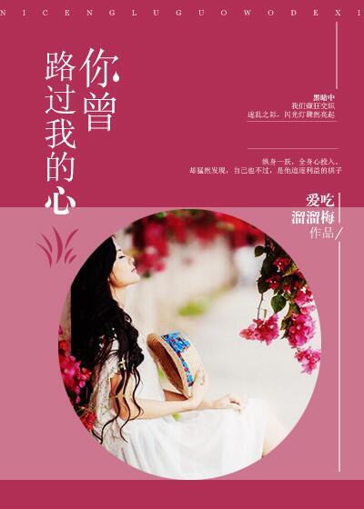 你曾路过我的心上