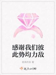 势均力敌的较量是什么歌