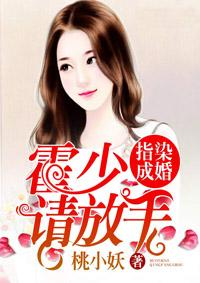 指染成婚霍少请放手叶浅