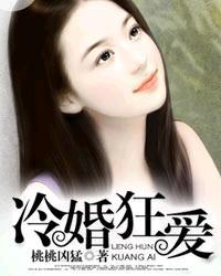 冷婚狂爱讲的啥故事