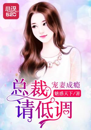 宠妻成瘾总裁请低调免费阅读