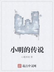 传说对决小明