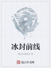 冰封前线哪个好玩