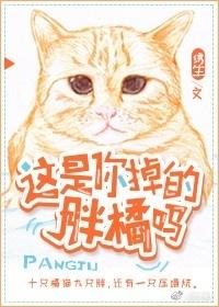 这是你掉的胖橘吗 在线阅读