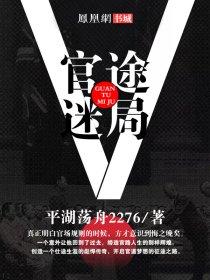 官途迷失