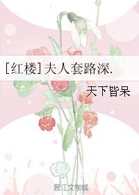 红楼夫人套路深TAT