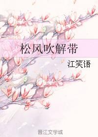 松风吹解带26
