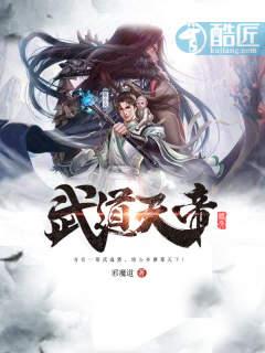 武道天帝阶级划分