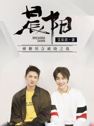 晨阳乳胶漆和立邦乳胶漆哪种较好