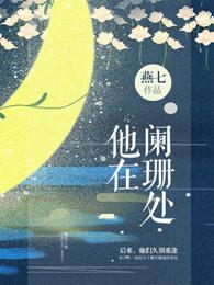 他在阑珊处txt书包网