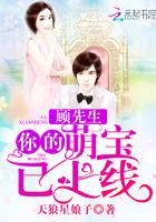 顾先生你的萌宝已上线天狼星娘子