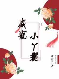 盛宠小丫鬟大结局