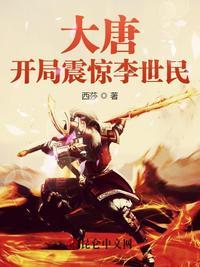 大唐开局震惊李世民烟雨有泪