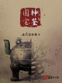 国宝神鉴全本TXT