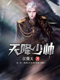 天降少帅 在线阅读