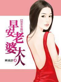 早安老婆大人TXT