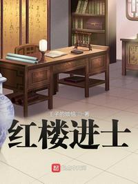 红楼进士未删减