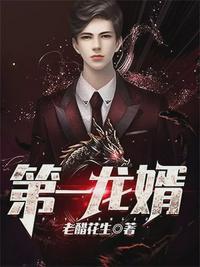 第一龙婿冷枫段佳怡是谁