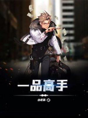 一品高手第2季