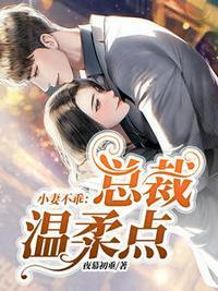 小妻不乖总裁温柔点苏暖暖厉衍琛