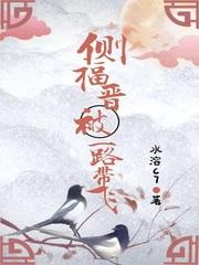 侧福晋被一路带飞TXT
