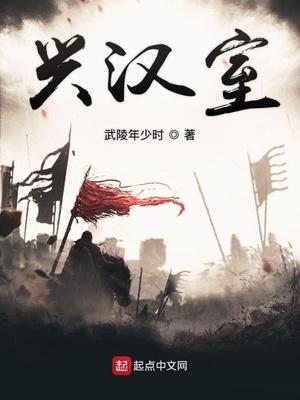 兴汉室免费阅读