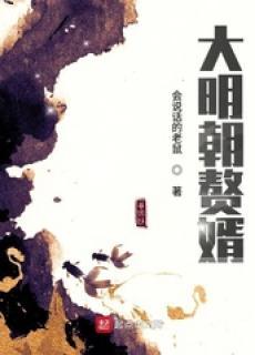 大明朝赘婿123