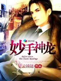 妙手神龙1-100集免费